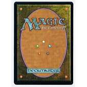 Magic JCC - Carte Magic Divers