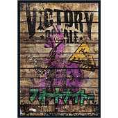 Custom Smartoys - Fortnite Poster #3