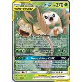 brindibou et noadkoko d'alola 1 Soleil et Lune Harmonie Des Esprits SL11