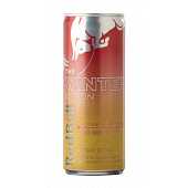 REDBULL WINTER POMME-GINGEMBRE